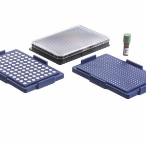 磁性3D細胞培養產品